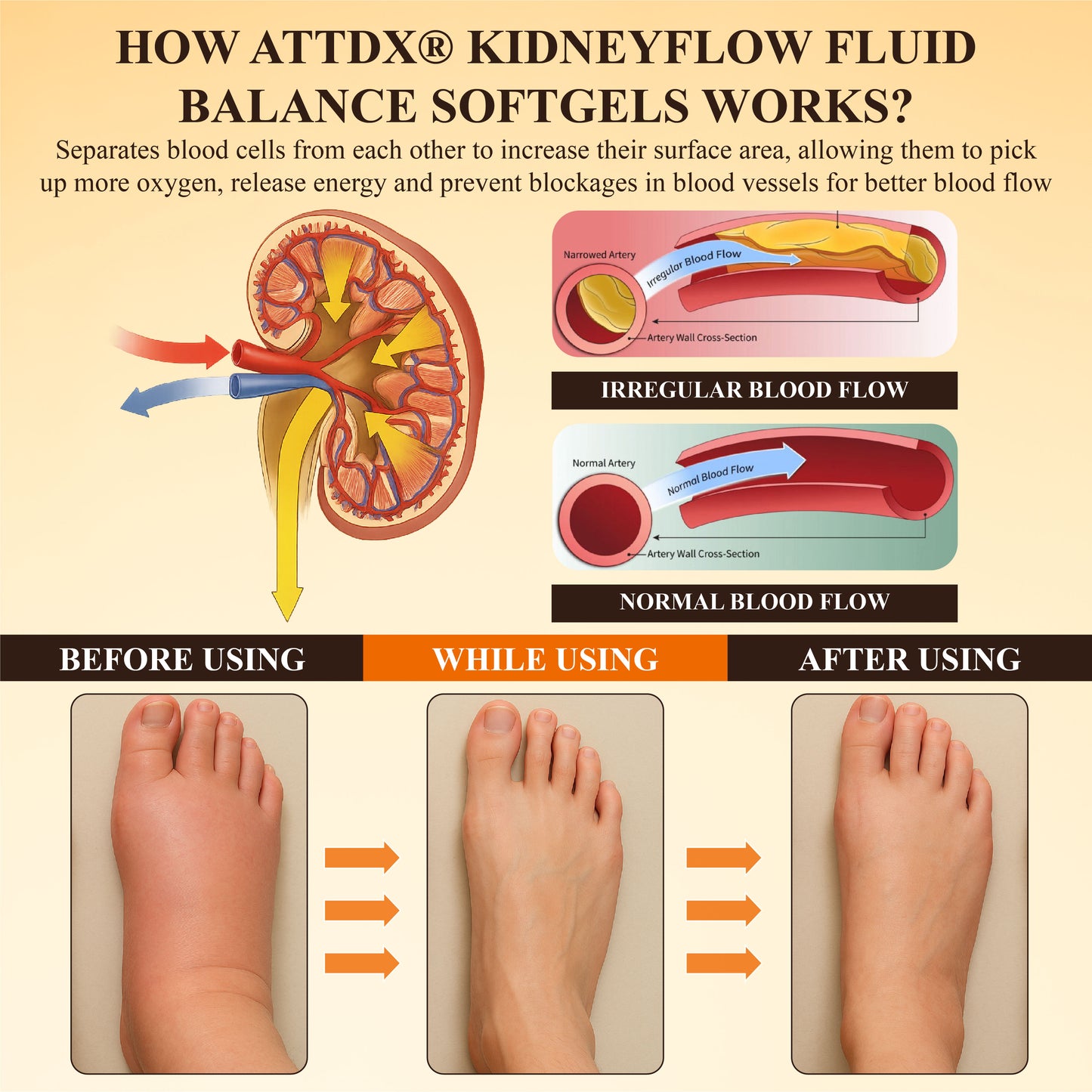 ATTDX® KidneyFlow Fluid Balance Softgels