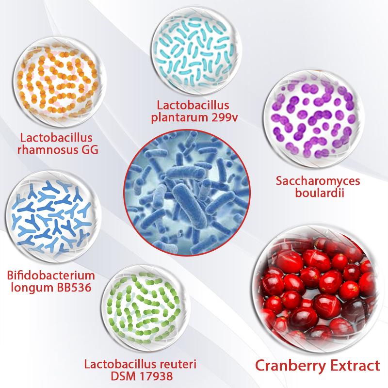 ATTDX® MaxCore+ Manergy Probiotics