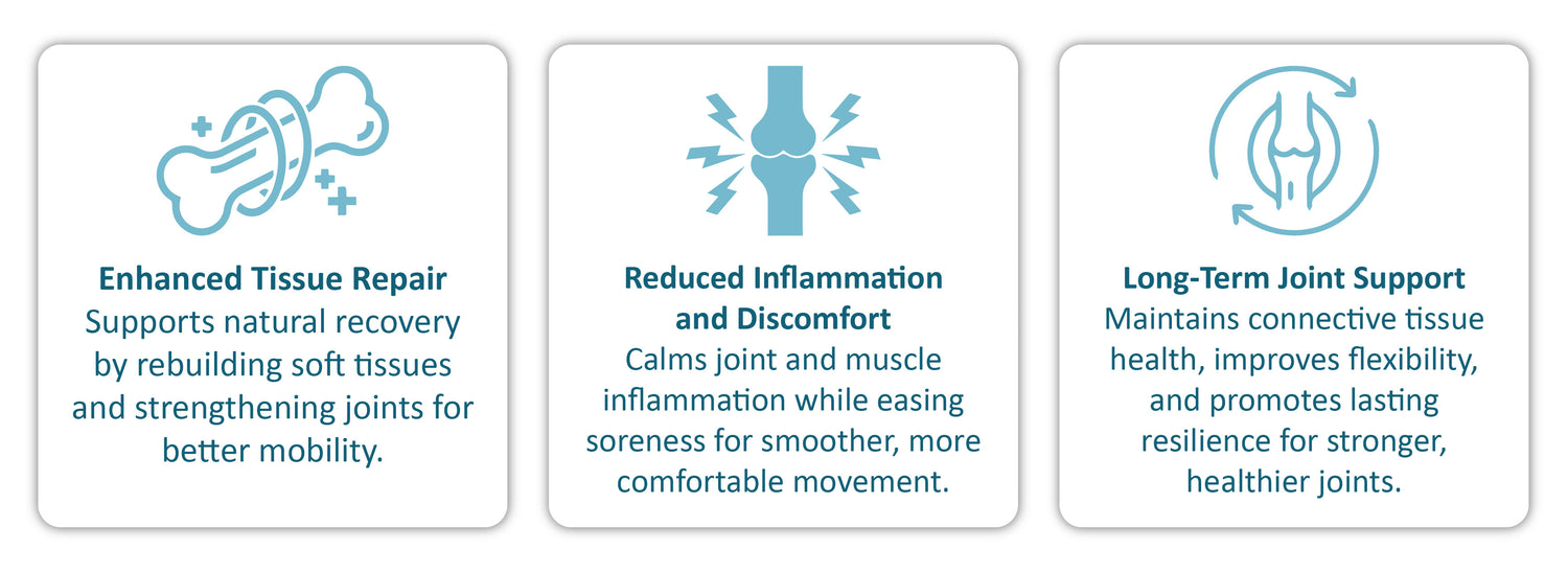 ATTDX® BPC-157 ArthroFlex Motion+ Capsules image ATTDX® BPC-157 ArthroFlex Motion+ Capsules